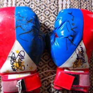 Red and Blue Boxing Gloves